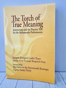 Torch of True Meaning Jamgon Kongtrul Mahamudra Meditation Buddhism 2014 PB - Imagen 1 de 4