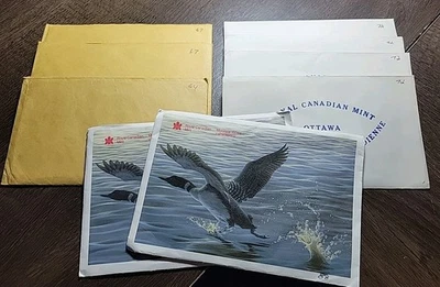 批量 9 件 加拿大皇家铸币厂套装 - 包括 1964 年,1967 年银币套装! (银色... — 第 1/3 张图片