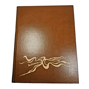 1975 Bluestone James Madison College Hardcover Annual Yearbook Volume 67 - Picture 1 of 7