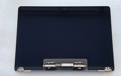 Defekt LCD Screen Display komplett für Apple MacBook Pro Retina A2289 EMC 3456 - Bild 1 von 3