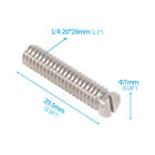 BGNing Stainless Steel Cylindrical Head Slotted Screw 1/4-20 * 28mm for camera