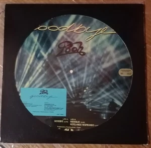 POOH GOODBYE Vinile Picture Disc Tiratura Speciale Collezionisti, Numerato, 1987 - Foto 1 di 8