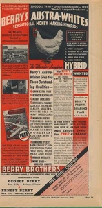 Zeitschriftenanzeige - 1945 - Berry Brothers Hatchery - Küken - Quincy, IL - 2. Weltkrieg - Bild 1 von 1