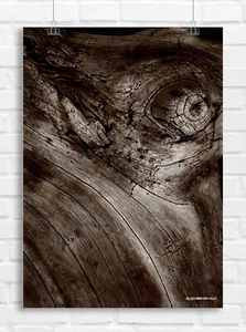 Poster Tree on the beach - Author’s Photography - 70x100 cm/27x39 inch - Foto 1 di 7