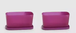 Tupperware Set 2 Tondi Quadrati Mini Rettangoli Basic Brights PRUGNA NUOVO - Foto 1 di 2