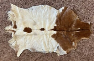 KO Trading Cowhide Rug Brown and White Real Fur Leather Hide 36x22 Inches - Picture 1 of 7