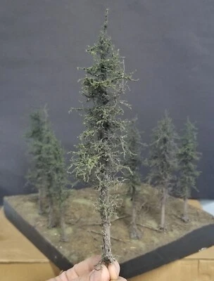 PINE-Trees, 6 to7 Inches Tall, SIX, REAL Wood, USAmade, N or HO, LOW$HiP - Image 1 of 4