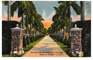 Royal Palm Trees ENTRANCE & DRIVEWAY Of ESTATE Florida FL Postcard Linen 1956 - Imagen 1 de 2