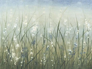 Wall Art Print Bliss I by Tim OToole, 16" x 12" - Picture 1 of 3