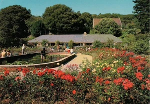 (ax26) Steephill Gardens Ventnor - Isle of Wight Postcard - Picture 1 of 2
