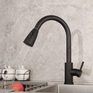 Schwarz 2 Funktionen Ausziehbare Brause Schwenkbar Küche Spültisch Mischbatterie Einloch Wasserhahn - Bild 1 von 11