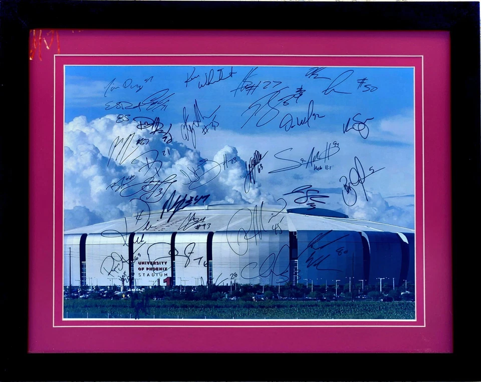 Foto enmarcada 16x20 2012 de los Arizona Cardinals firmada varias veces. Único en su clase.  Foto 1 de 1