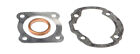 2442 - compatible con PEUGEOT LUDIX 50 II 2T 10 SNAKE NAKED 50 2008-2009 Juego j