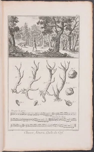 Diderot - 23 grabados de caza. 25 - 1751-1776 Enciclopedia o diccionario... - Imagen 1 de 4