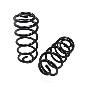 Coil Spring Set - Picture 1 of 2