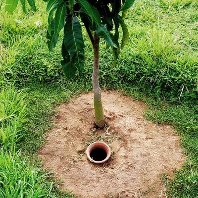 PFLANZEN-KÖLLE Bewässerungskugel Olla S Terrakotta ca. 1,9 Liter Füllmenge