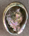 Vintage Rare Red Abalone Shell