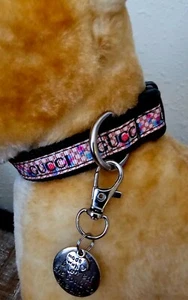Elegantes Hundehalsband, Hundehalsband, Luxushalsband für Hunde mit Abnehmetikett XS - Bild 1 von 5