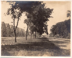 Street View of Town Houses & Median Unknown Location 1910s Antique Photo - Picture 1 of 2