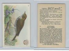 J7, Church & Dwight, Useful Birds America 3rd Ser., 1922, #21 Oven Bird