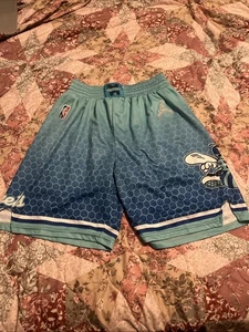 Charlotte Hornets Nike City Edition Swingman Shorts NBA Neu Lamelo Ball Buzz - Bild 1 von 7