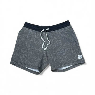 Шорты для отдыха мужские Chubbies размер Small The Hazy Pineapples 7 дюймов серые - Изображение 1 из 4