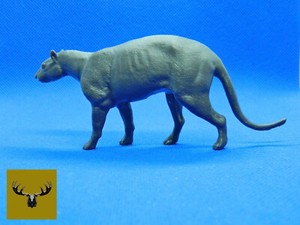 Phenacodus Resin Model, 1/13 scale and very detailed!