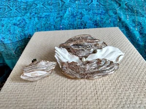 VINTAGE ARTIST MADE SIGNED POTTERY 2 PIECE RING AND REAL PEARLS HIGHLIGHTS GOLD - Picture 1 of 12