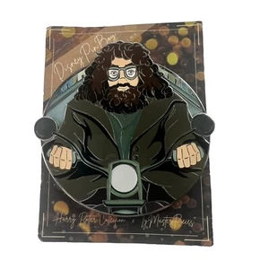 Harry Potter Pin Rubeus Hagrid Disney Pin Boy TyMasterpieces Numbered To 50 - Picture 1 of 5