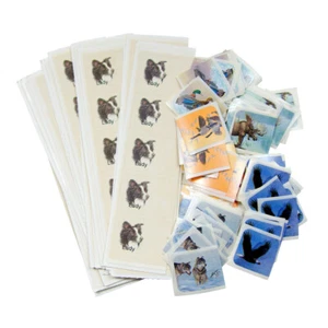 Adesivi artigianali multiuso animali selvatici border collie cane lupi alci uccellini - Foto 1 di 7