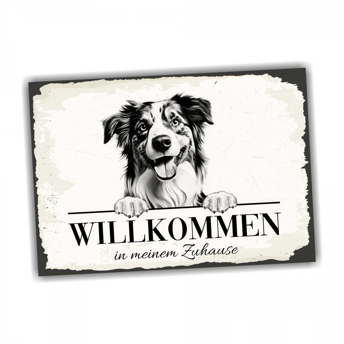 Warnschild 'Australian Shepherd Hund Im Garten' – Aluminium, 30,5x20cm, Wetterfest (A4 Format)