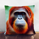 Plump Cushion Electrifying Orangutan Soft Scatter Throw Pillow Case Cover Filled