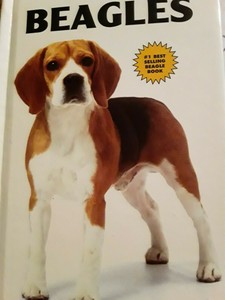 beagle training books