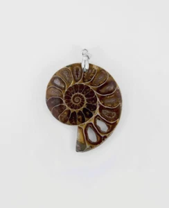 925 SILVER JEWELLERY FOSSIL AMMONITE PENDANT 38MM - Picture 1 of 7