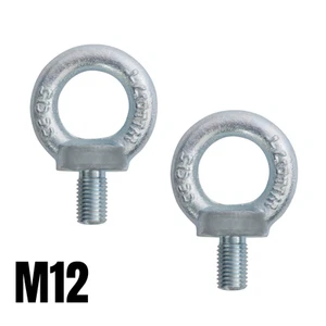 2x pernos métricos 12 mm de diámetro rosca zinc DIN580 perno de ojo (WLL 340 KGS cada uno) - Imagen 1 de 3