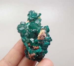 DIOPTASE crystals & MALACHITE ---- Dem. Rep. CONGO Katanga Tantara Mine /pj303 - Picture 1 of 18