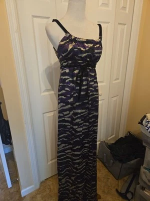 NWT COREY LYNN CALTER Silk Maxi Dress Sz 4 - Image 1 of 4
