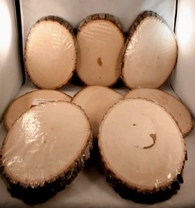 New Basswood Rounds Live Edge Medium 11x8 8 count Crafts Decor wedding - Picture 1 of 10