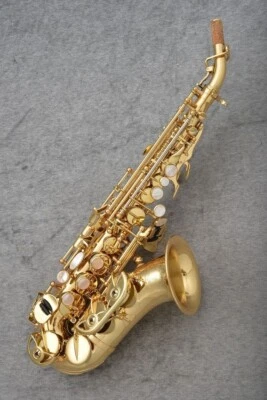 Saxofón soprano profesional Yanagisawa SC-WO10 SCWO10 Curved Elite nuevo Foto 1 de 4