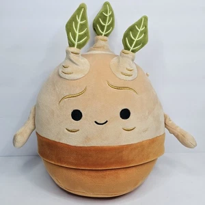 Squishmallows 8-Inch Harry Potter Mandrake - Officially Licensed Wizarding World - Picture 1 of 11