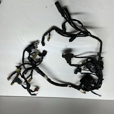 14 - 17 YAMAHA YZ250F YZ 250 F ARNÉS DE CABLEADO TELAR OEM Foto 1 de 4