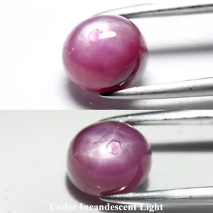 💎 1.81ct Oval Cabochon Pinkish Red 6 Ray Star Ruby - Heated, Africa Gem - Picture 1 of 11
