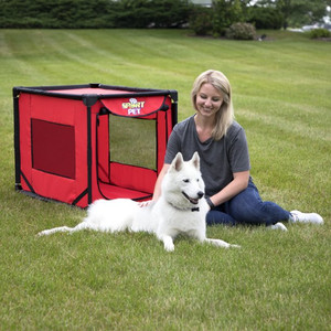 ebay dog box