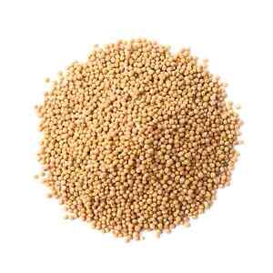 Organic Yellow Mustard Seeds – Non-GMO, Whole Dried, Vegan, Kosher, Bulk. Spicy,