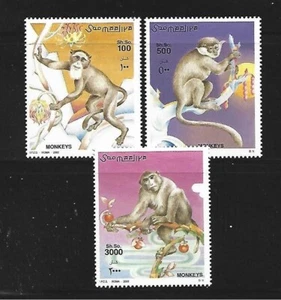 SOMALIA. Año: 2002. Tema: FAUNA. MONOS. - Imagen 1 de 1