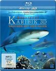 Abenteuer Karibik 3D   Tauchen Mit Den Haien 3D Blu Ra  Dvd  Etat Tres Bon