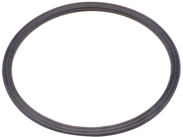 Sello de bomba de agua para Chrysler Voyager 2001-2003 Mopar 73576VKWQ 2002 Foto 1 de 2