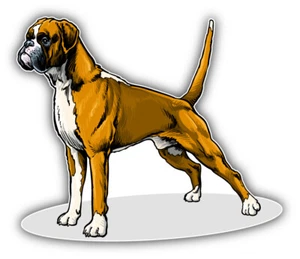 Boxer Breed Dog Car Bumper Sticker Decal - Picture 1 of 1