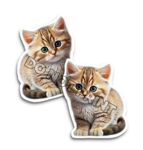Calcomanías suaves difusas para gatito cariñosas para gatos lindos M33052 - juego de 2 - Imagen 1 de 2