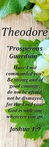 Theodore "Wohlhabender Wächter" Andenken Name Bedeutung Lesezeichen mit Vers & Quaste - Bild 1 von 2